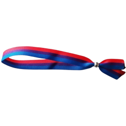 PRIDE PULSERA BISEXUAL