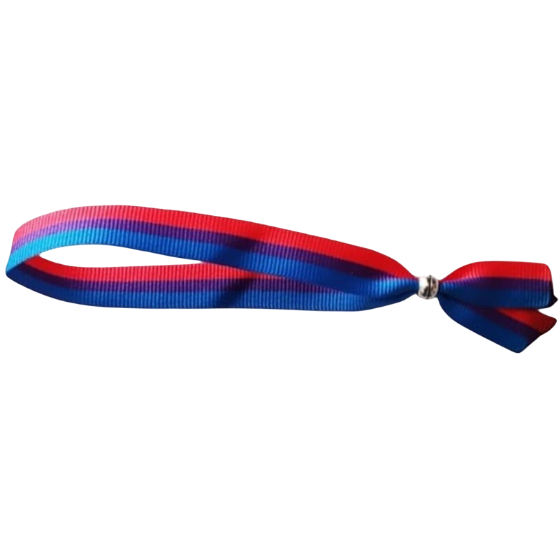 PRIDE PULSERA BISEXUAL