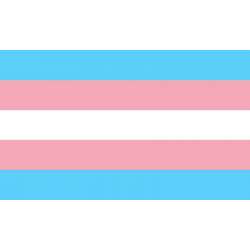 PRIDE BANDERA 90 X 150 TRANSEXUAL