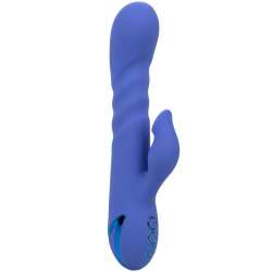 CALIFORNIA EXOTICS LA LOVE VIBRADOR SUCCIONADOR AZUL BY CALIFORNIA DREAMING