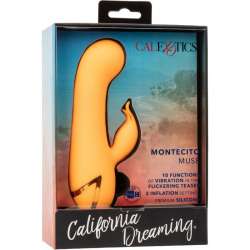 CALEXOTICS MONTECITO MUSE VIBRADOR RABBIT NARANJA BY CALIFORNIA DREAMING