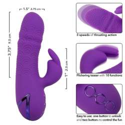 CALEXOTICS MANHATTAN BEACH MARVEL VIBRADOR RABBIT MORADO BY CALIFORNIA DREAMING