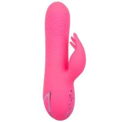 CALEXOTICS SACRAMENTO SWEETIE VIBRADOR RABBIT ROSA BY CALIFORNIA DREAMING